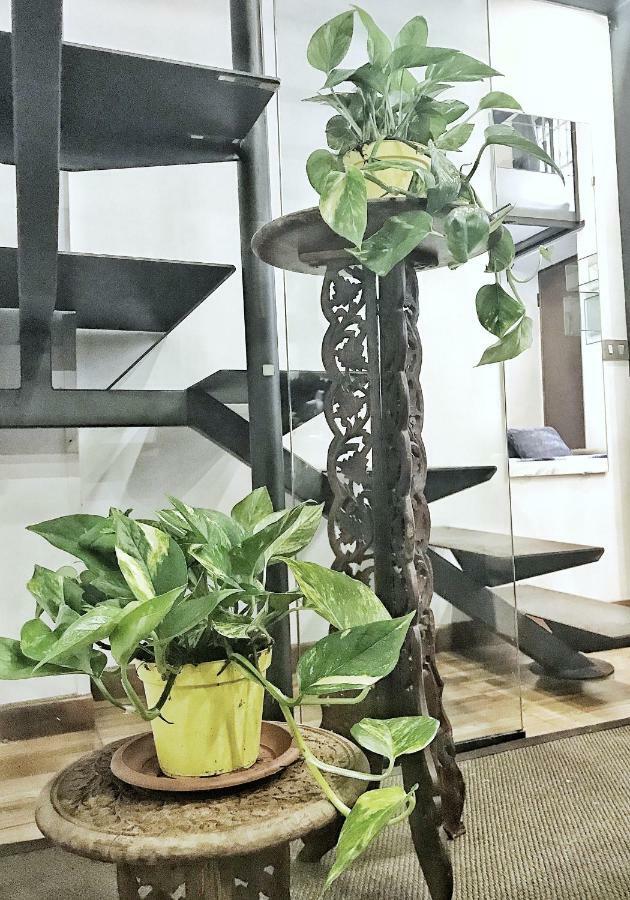 Charming Design Loft Isola Milanoアパートメント エクステリア 写真
